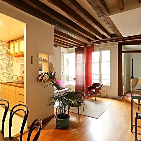 Chic Flat Vi Paříž